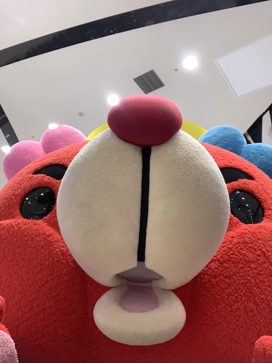ワンダーランド1177谷山店【公式】 on X: 