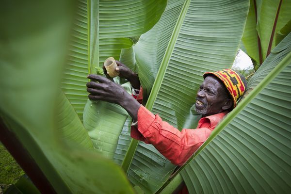 UNGeneva's tweet photo. #IndigenousPeoples are the world’s best forest guardians.

By safeguarding key ecosystems that act as carbon sinks and protect biodiversity, Indigenous Peoples provide an environmental service to the rest of the world. 

It's time to listen to their wisdom! https://t.co/3QWUD1gMt5