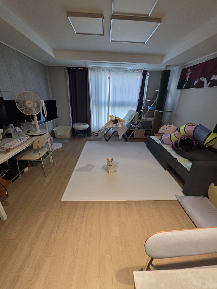 예린 tweet media