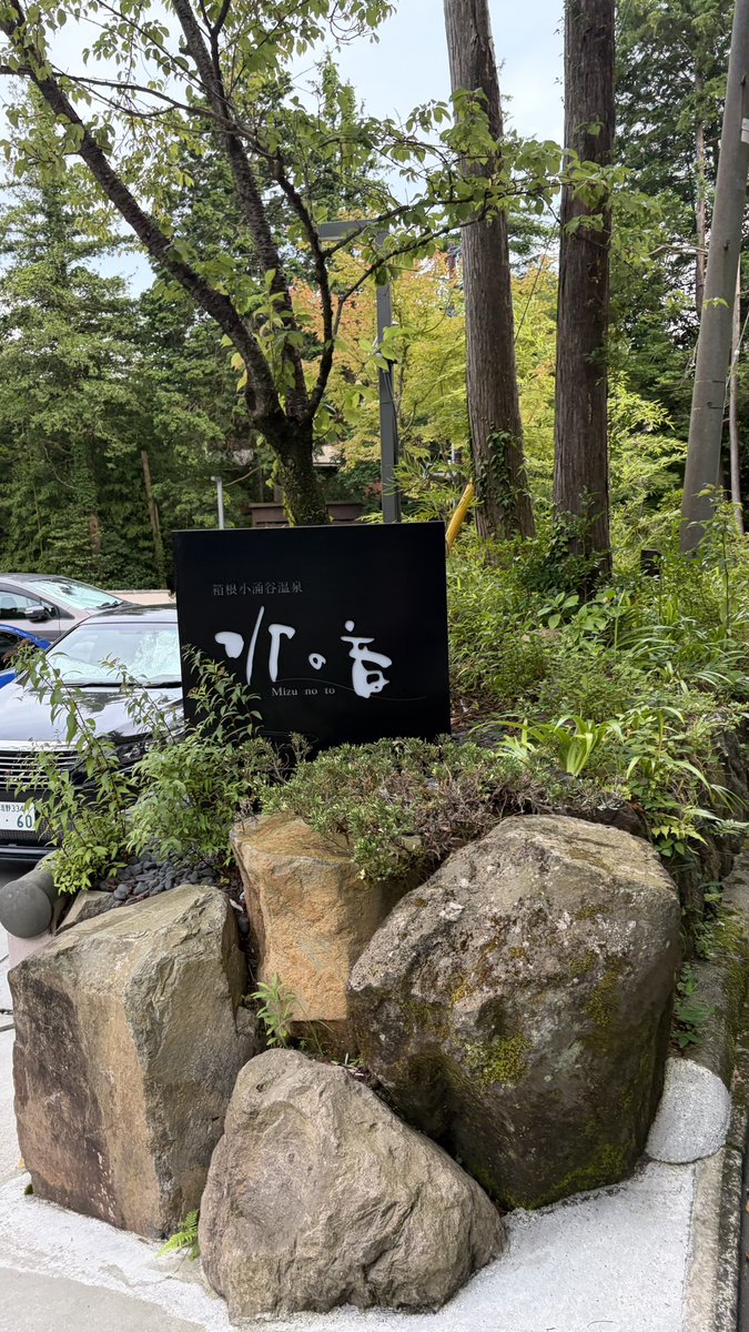 First_Penguin7's tweet photo. なんかどえらいとこ来ちゃったぞ https://t.co/AJfo8mnzcp