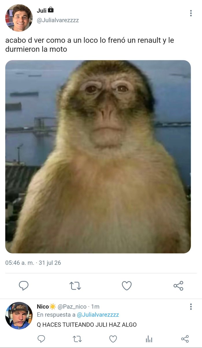 Chiechiepann's tweet photo. 20

posta q si nico https://t.co/eWpf7XBaQu