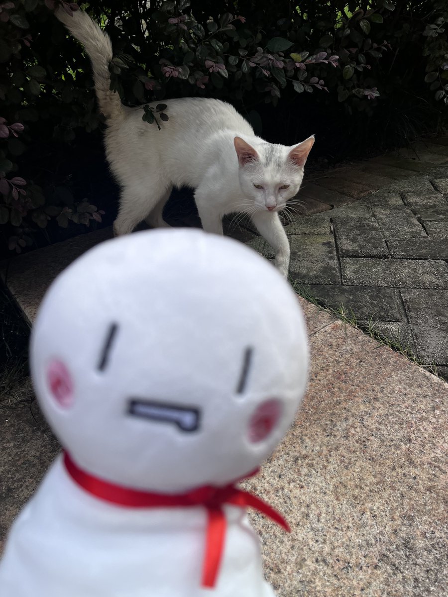 kirururururu2nd's tweet photo. https://t.co/7OJAmGtH4S