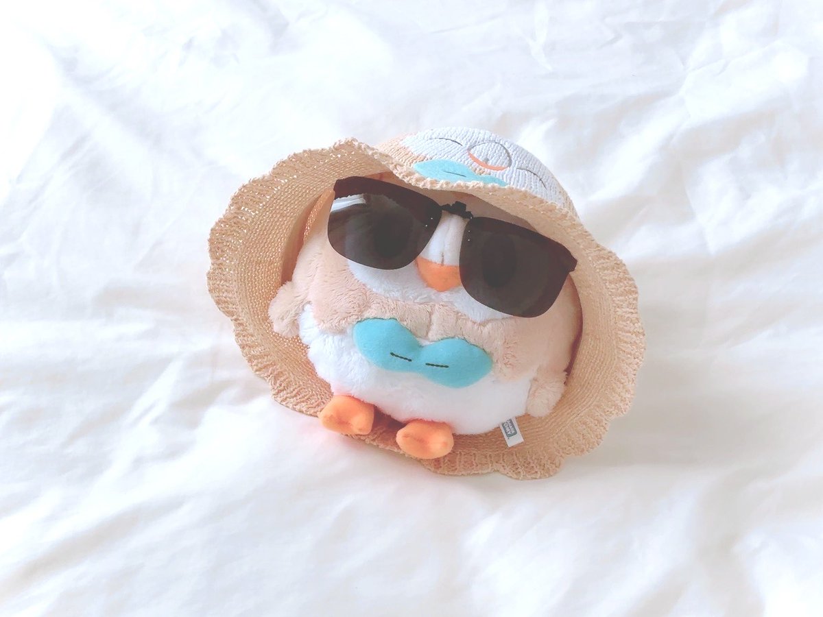 mofupoke722's tweet photo. 暑☀️🕶️👒 https://t.co/FoxqHMbwdR