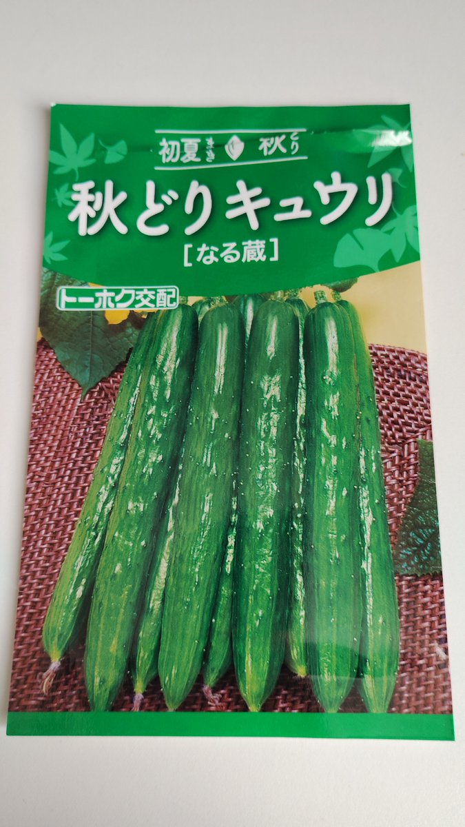 chiroline's tweet photo. 秋どりのきゅうりの種があったので買ってみました。2日で芽がでてきたー✨もう少し育ったら庭に植えよーっと。このきゅうりの種、インド産なんだぁって思って調べたら、きゅうりの原産地はインドなんだそうで。あまりインドにきゅうりのイメージがなかったので意外でした。 https://t.co/kbrxuotlcI