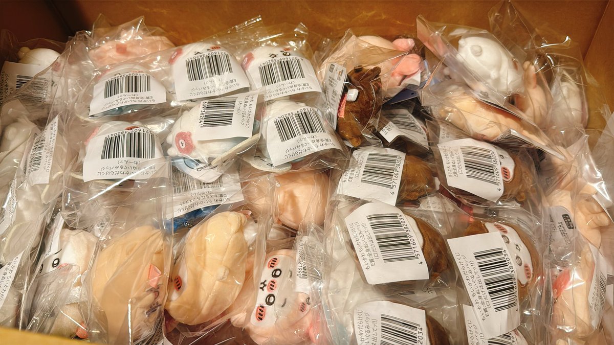 hakuikoyori's tweet photo. 半年前に引いたちいかわくじの景品が届いたんだけど業者さん並でやばいwwwww
段ボールもう一個あるww📦 https://t.co/qbeYV8hV6w