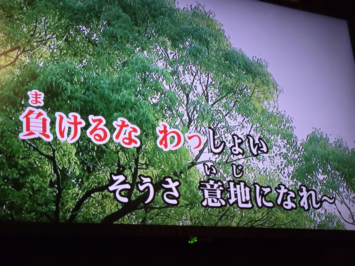 mogpan19's tweet photo. 夏なんで…… https://t.co/X4L8hjrFWj
