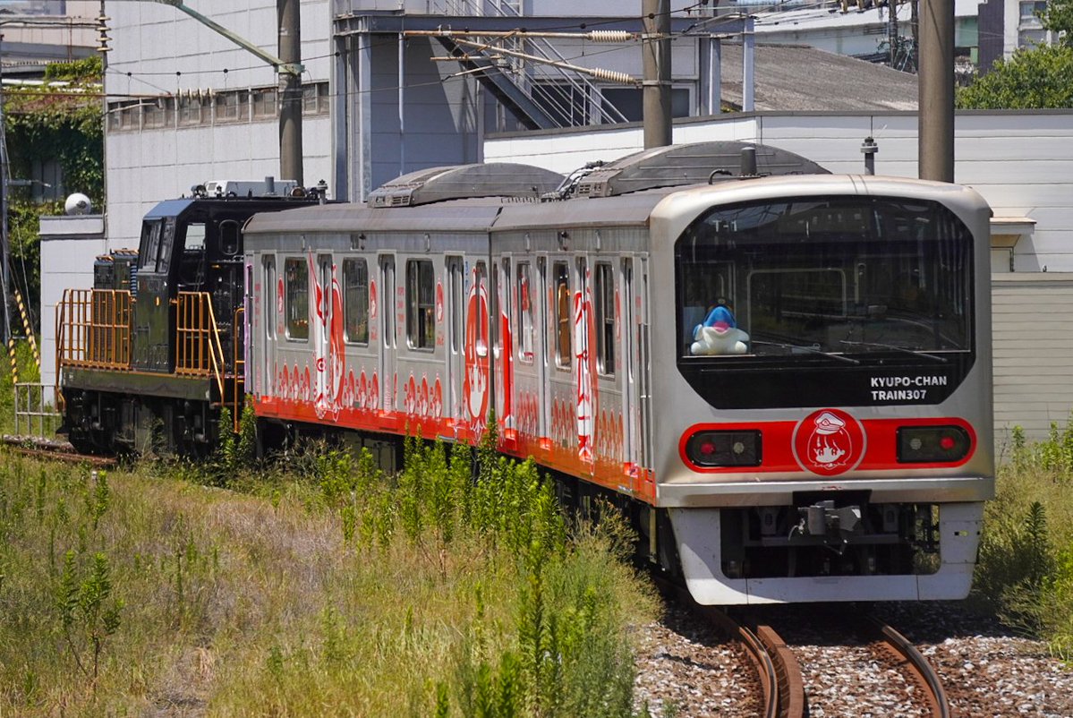 ltdexp_isokaze's tweet photo. 2026.7.31 筑肥線で活躍予定の307系 キューポちゃんラッピング KK出場を西小倉駅、博多駅、唐津線内で記録
元所属のマスコット りんかるが最後部に乗ってました🐬 https://t.co/oo54wdRUxa