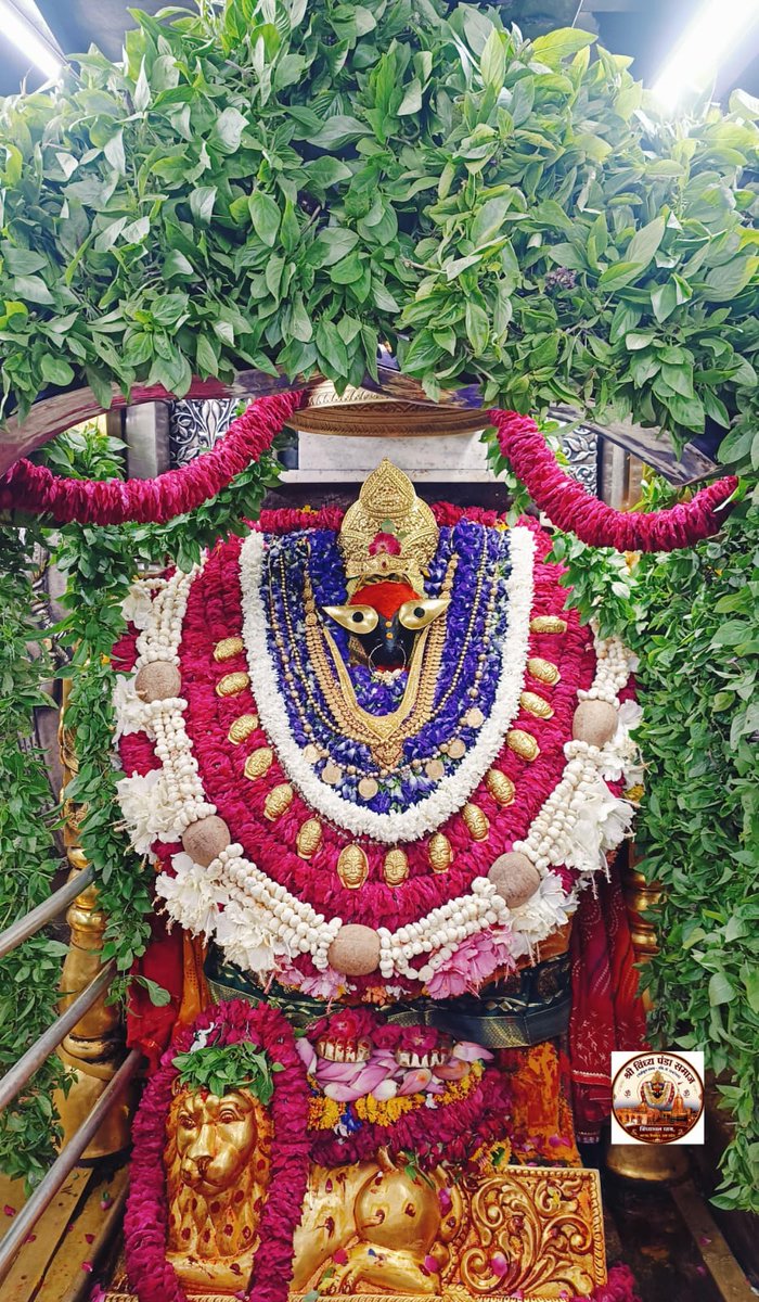 VindhyachalDha1's tweet photo. आज दिनांक 31/07/2026 शुक्रवार के दिन करिये माँ के राजश्री आरती का दिव्य दर्शन
बाल स्वरूपहिं से माँ विंध्यवासिनी जाना 
वेद शास्र असि कीन्ह सर्वोच्य बखाना🙏
जय माँ विंध्यवासिनी

सेवक अटल त्रिपाठी 
06386046245 https://t.co/5ztveZZsNB