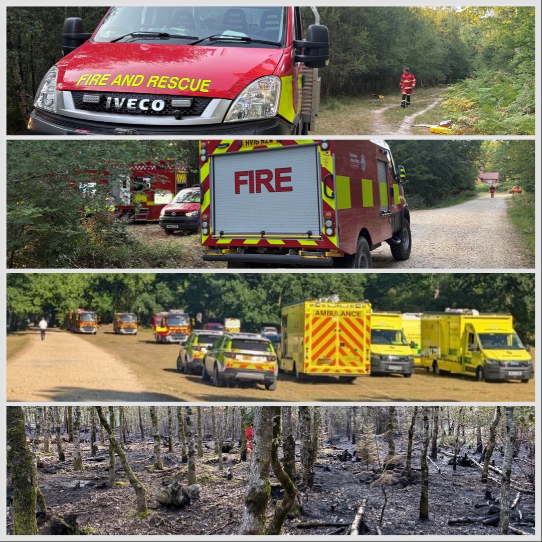 EngNewForest's tweet photo. Our rangers are a small but very busy team. Here's some of the things they've worked on recently:
🚓 5 partnership ops
🎟️ 2 events
🚶 1 guided walk
⚠️ 25 fly-tips
🏛️ Verderers Court open day
🔥 Managed 2 wildfires
🚯 Litter picked on every patrol
#OurWork #NewForest https://t.co/r23UlA7HV8