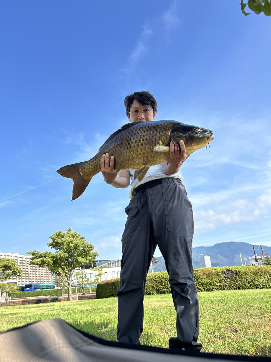 naocreo1's tweet photo. 【鯉釣り】琵琶湖, 2026/7/31(金), AM1:10-8:20, 担ぎ込み, 表水温:約33.6℃.
🔸真夏のコイ、2匹釣れました🏖️🍻♨️
🔸約90cm, 約58cm
🔸表水温は、昨年8/29の32.0℃での釣果(ポストあり)を上回り、自身の最高水温となりました📈
🔸虫除けスプレー、日焼け止め、高温多湿で皮膚はベタベタになりました🏖️ https://t.co/qqfWOw9jwp