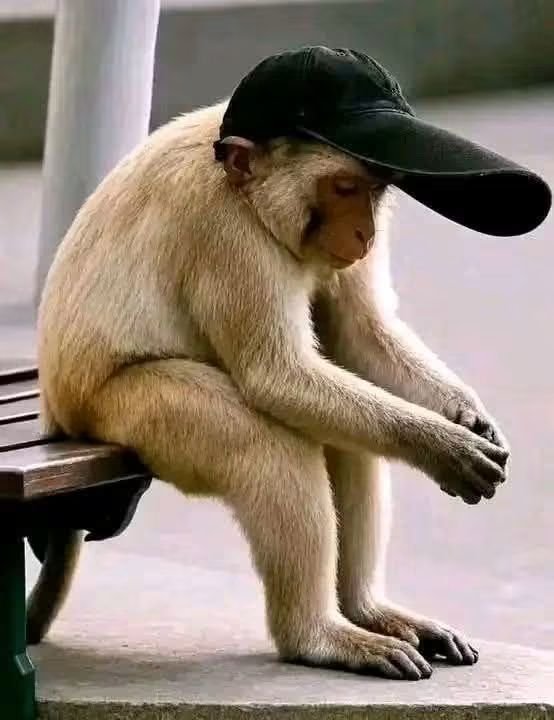 Hlogi_M012's tweet photo. @DominicISX @tebogstaT @MrPro_ducer Weni ne 😂 https://t.co/k28BBGSIxi