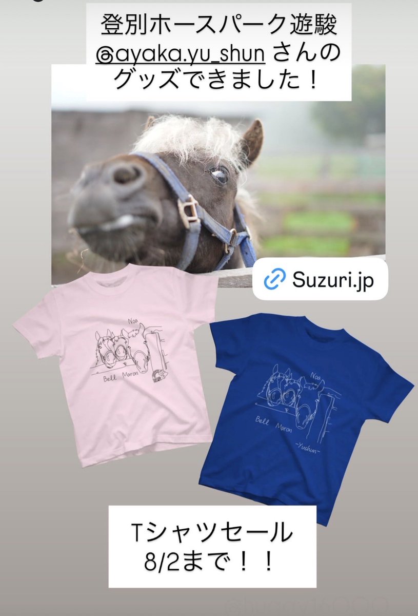 hagiworks's tweet photo. 登別ホースパーク遊駿　@horseparkyushun さまのTシャツできました❣️
https://t.co/NkWZC2FCSA

ベル、マロン、ノアがモデルです❣️ https://t.co/b7EG3GWX77