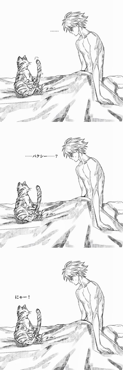 mizu_srv0's tweet photo. 🐱？😼？*バクジャン https://t.co/urxDVFdhdM