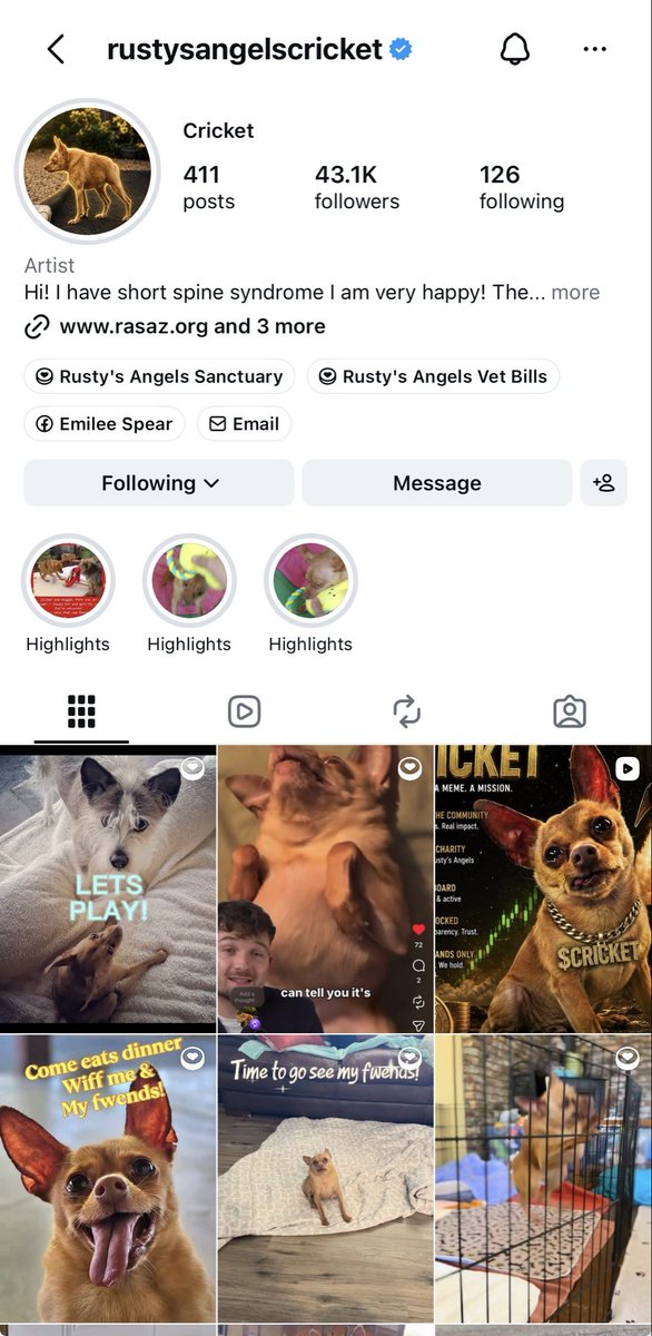 STUDIOSMM's tweet photo. GM, GM, GM, 

It’s great to see that this community that has gathered round Cricket and @RustysAngels Sanctuary has helped shine a light on Cricket

Cricket‘s 8 year old Instagram account has gained around 30,000 followers since the launch of the token, amazing! I’m sure this will help the sanctuary in the future as well as all the fees from the token. 

$Cricket 🐾