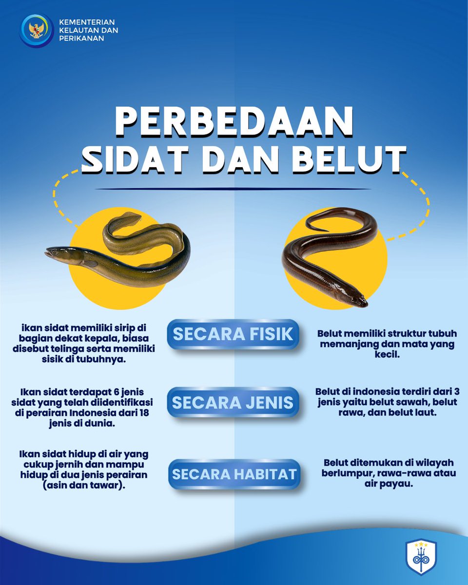 PERPUSKKP's tweet photo. Unagi itu belut? Eits, ternyata bukan!

Unagi yang populer dalam kuliner Jepang berasal dari ikan sidat, bukan belut . Walaupun sama-sama memiliki tubuh panjang dan licin, sidat dan belut adalah dua hewan yang berbeda.

#KKPMembaca
#SalamLiterasi
#Sidat https://t.co/tpJiakqZHj