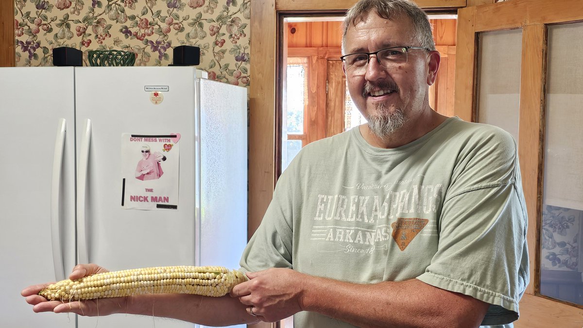chrisleefish's tweet photo. 14 inch ears? We hope our foliar program pans out across the board but it looks good on this heirloom variety of flint corn. We will share results regardless. We used products from @TeraGanix @Singular_Agro @sound_ag #fertilizer #foliar #agriculture #farming @Pat48112869 https://t.co/aESVyvEzc5