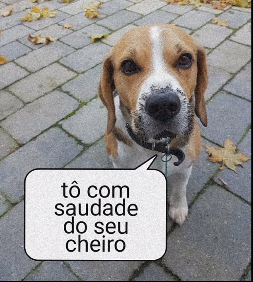 im_thiagoo's tweet photo. @rubrolatino https://t.co/RVC2QqZ4mK