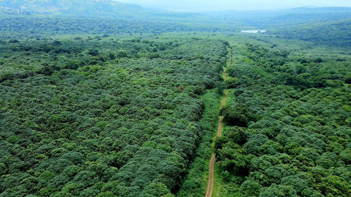 FBANSN's tweet photo. Environmental stewardship is more than protecting forests, rivers, and biodiversity. It shapes how societies think about the future by encouraging cooperation, long-term planning, innovation, and shared responsibility across generations. https://t.co/KpCVJsx1Bb