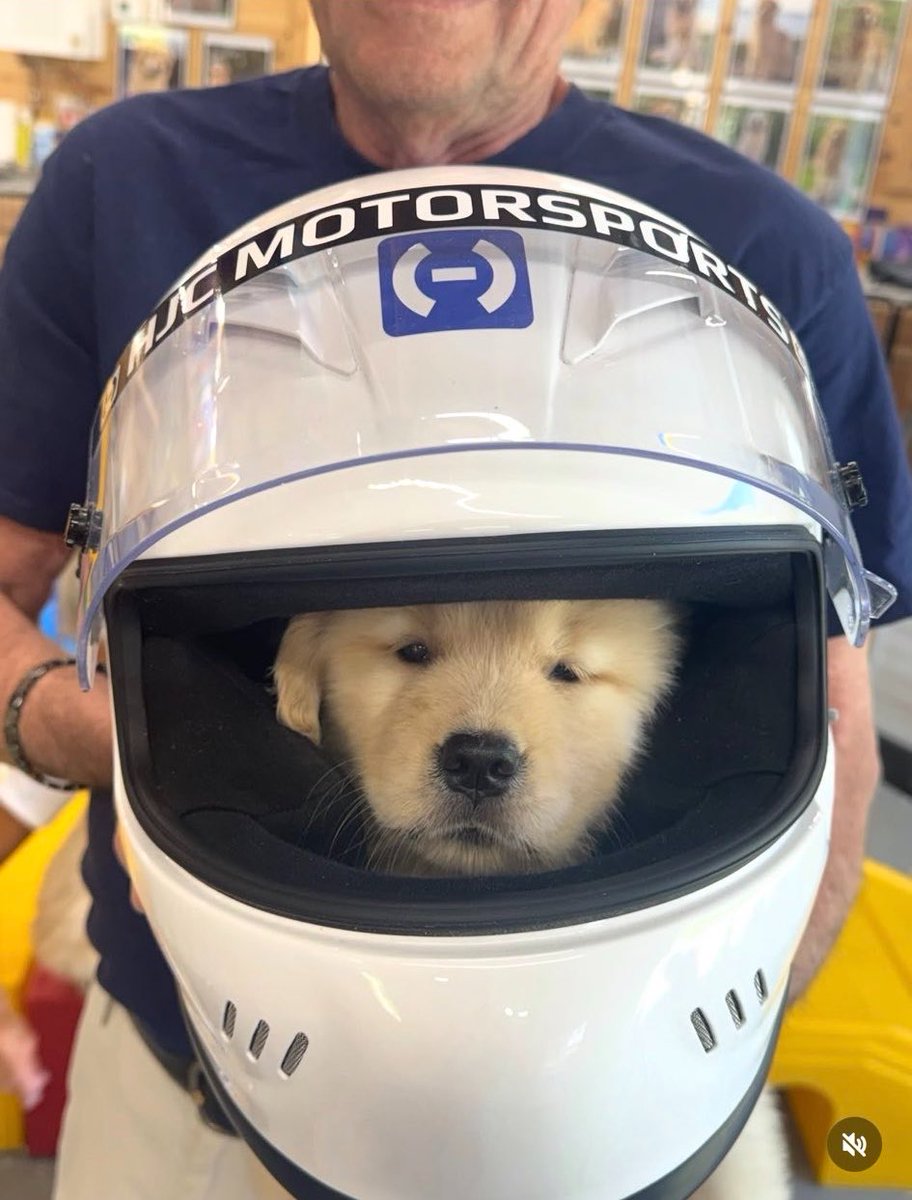 GazzettaFerrari's tweet photo. Meet Halo 🙂❤️ https://t.co/QYSe4U56pv