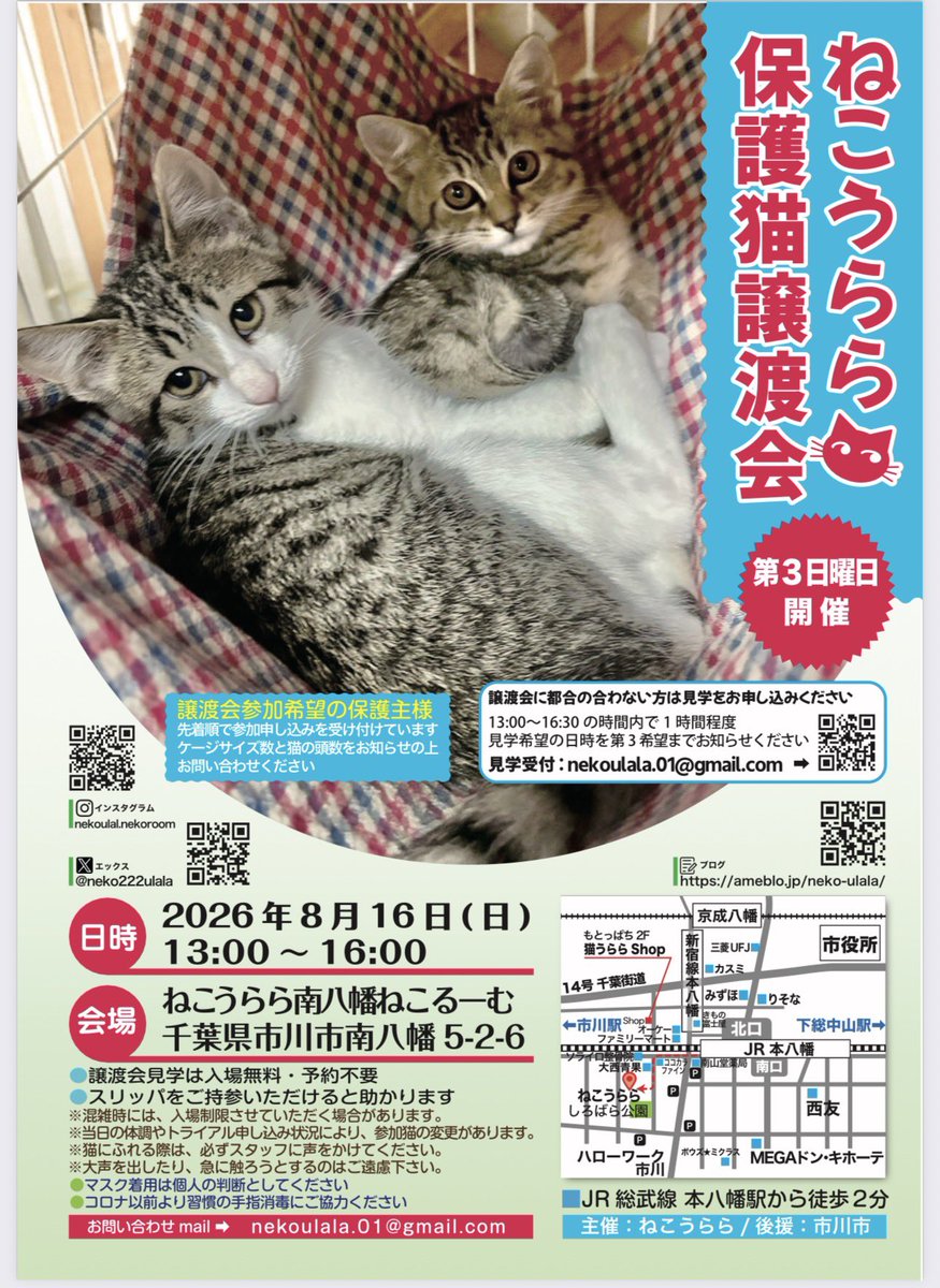 neko222ulala's tweet photo. 🐾ねこうらら譲渡会🐾
　　(後援：市川市)
🩵毎月第3日曜日🩵
次回は
2026.08.16(日)
13〜16時
予約不要
市川市南八幡5-2-6
℡：047-711-1225
担当：里見

🐈‍⬛🍀🐈‍⬛🍀🐈‍⬛🍀🐈‍⬛🍀🐈‍⬛

市川市動植物園内にある
観賞植物園施設2階の
「いちにゃんサポート」でも保護猫ちゃん達が家族を待っています🎶
⬇️
いちゃんサポート
https://t.co/luW6X1x8jj
🐈‍⬛🎶🐈‍⬛🎶🐈‍⬛🎶🐈‍⬛🎶🐈‍⬛
#幸せ街道まっしぐら
#保護猫譲渡会
#千葉県市川市
#南八幡ねこるーむ
#みんななかよし
💓ポスターモデルは
キジトラ
てんちゃん♀
サバ白
ろくちゃん♂
てんちゃんはトライアル中