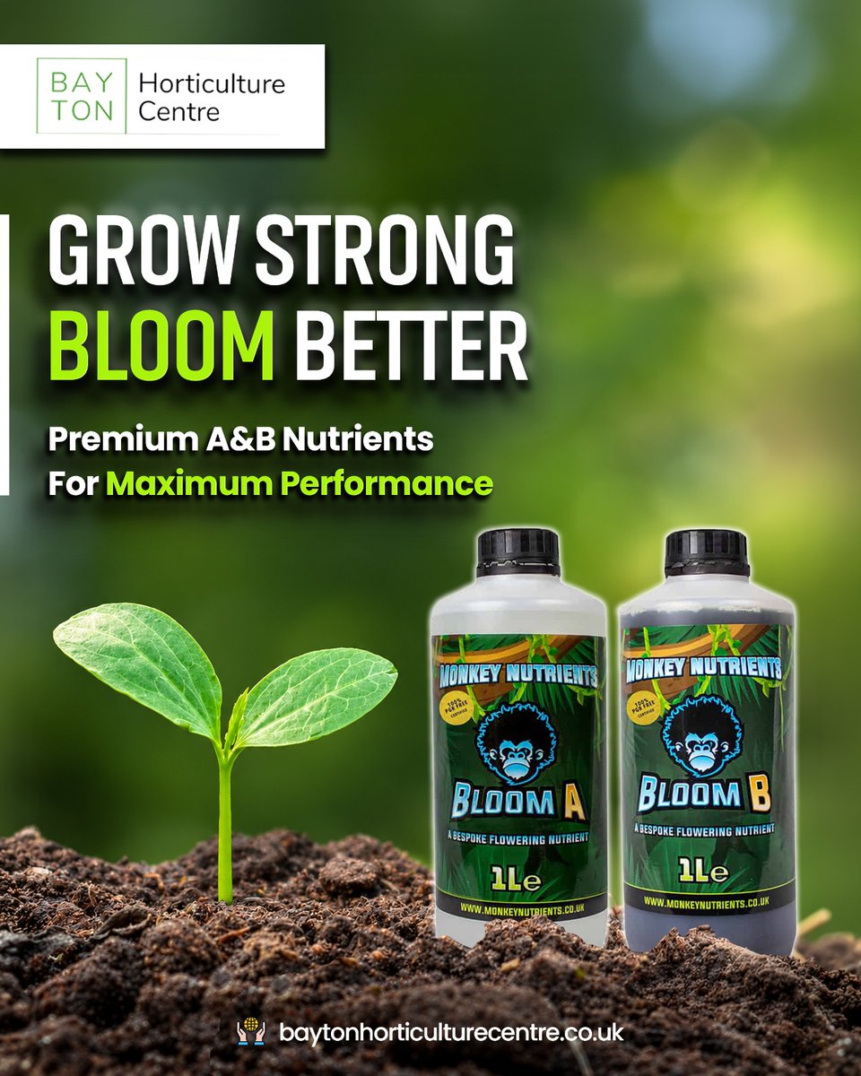 BaytonH35331's tweet photo. Monkey Nutrients Bloom A &amp; B supports healthy flowering with a balanced formula for consistent bloom-stage growth. Available at Bayton Horticulture Centre.

🛒 Shop now. https://t.co/beho5TQttm

#baytonhorticulturecentre #hydroponicsuk #plantnutriti https://t.co/zwOJbaupMo