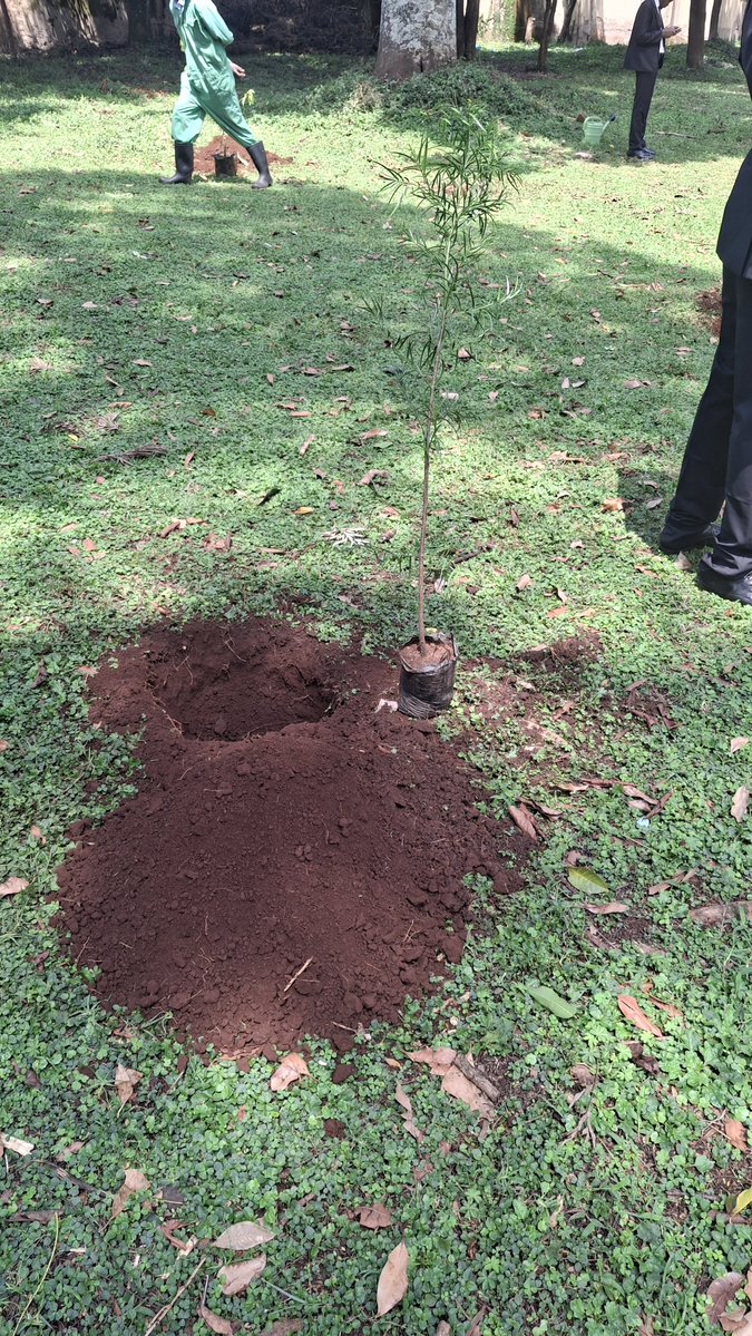 KerichoCycling's tweet photo. Today we take part at Kericho Alternative Justice System convention at Moi Gardens to plant a tree courtesy of Kericho Cycling Club.

Let's make it Green.
#KerichoCyclingClub https://t.co/IrhHYJKIdM