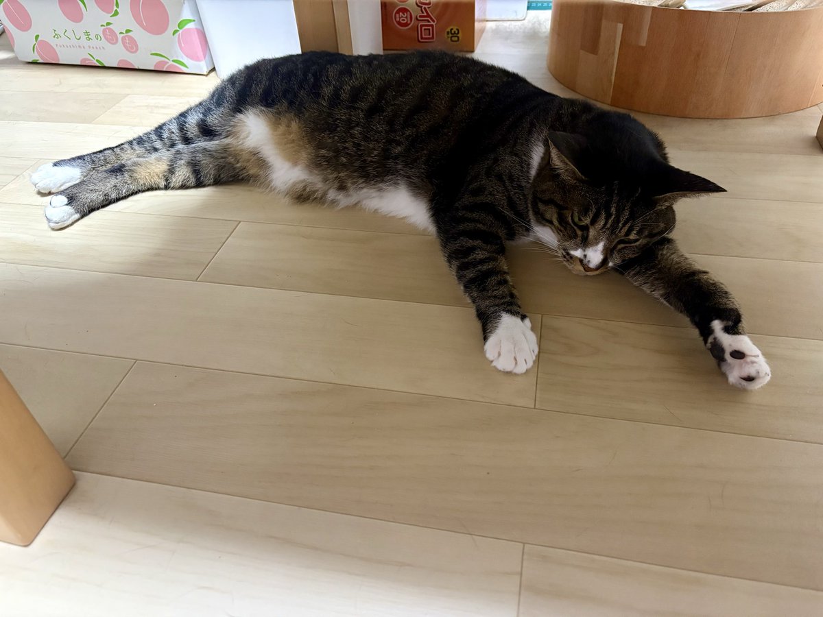 naruo_210822 tweet picture