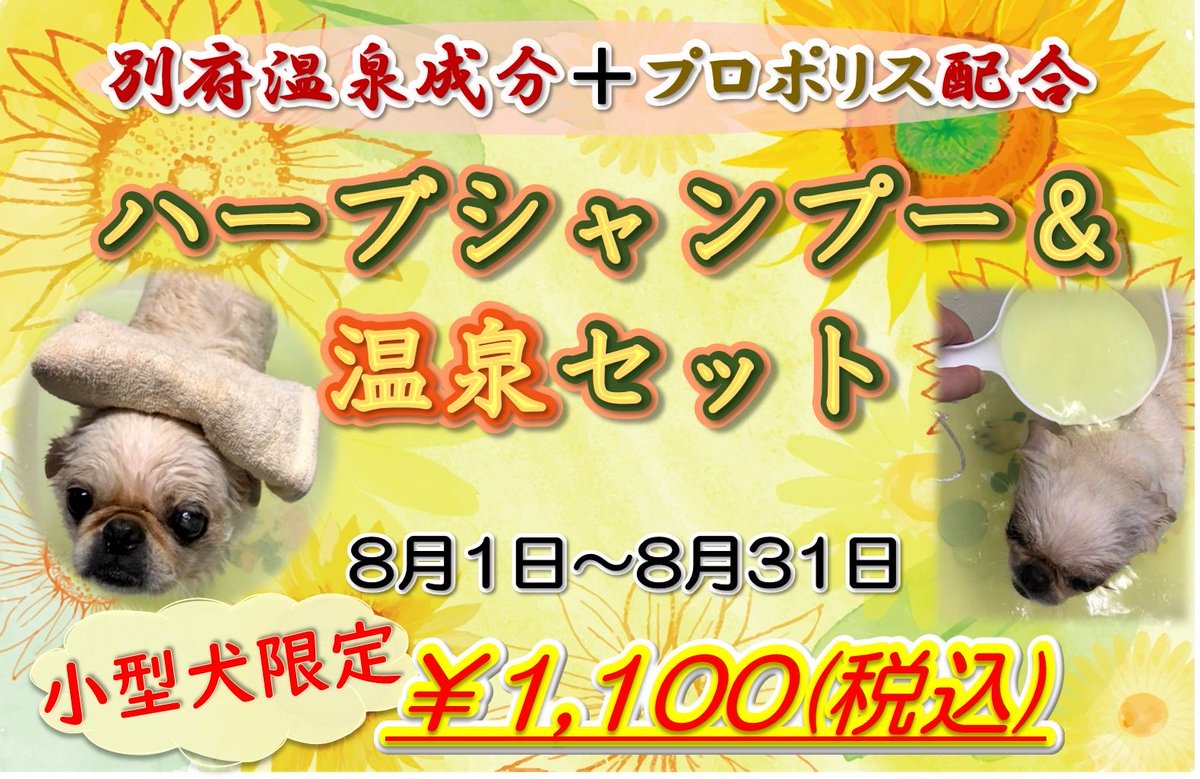 petsalonhug's tweet photo. 明日から開催致します✨
漢方の成分が入った入浴剤をバスタブに入れて、掛け湯をしてリラックスできます🌿 https://t.co/mBuNIDZ87K