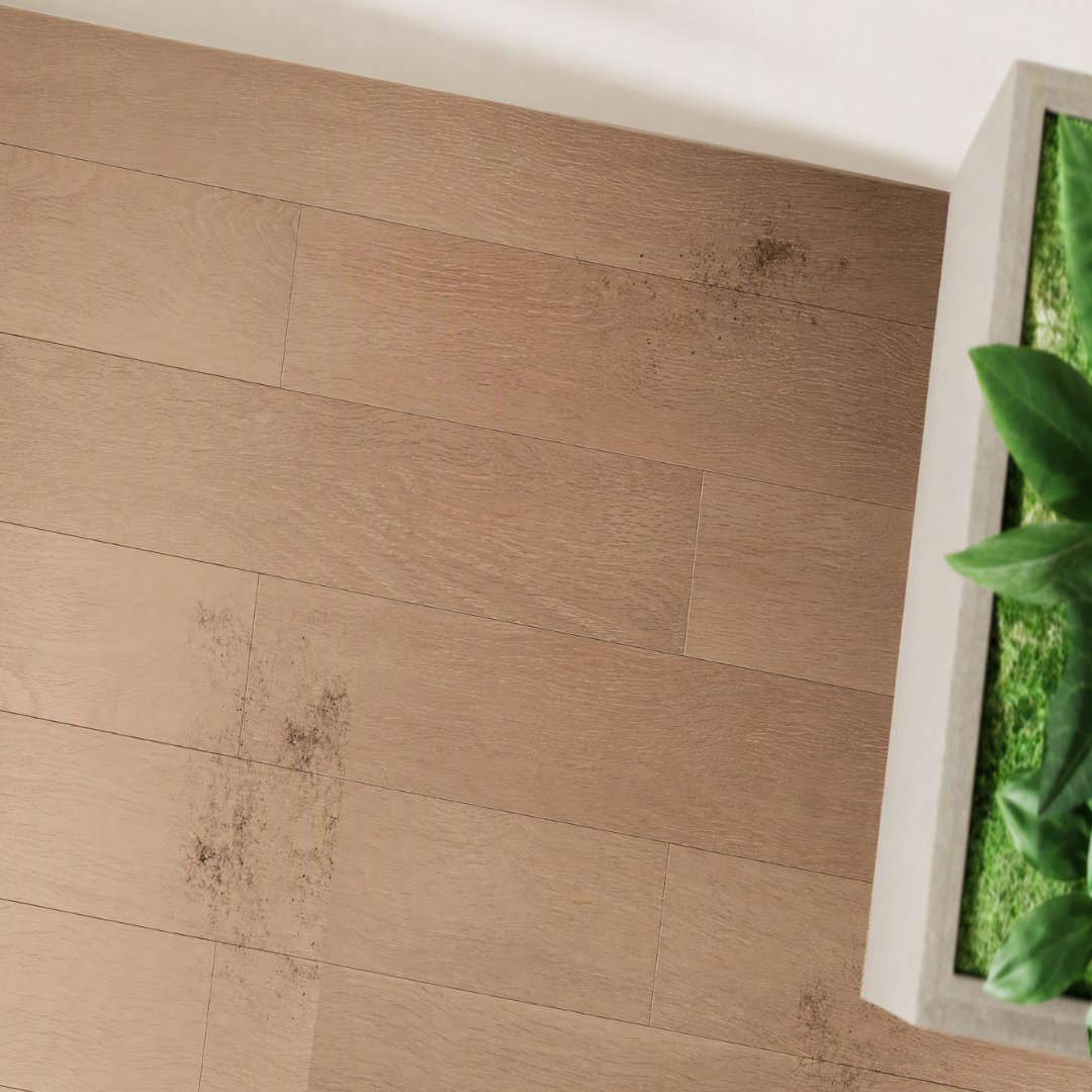 ecovacs_japan's tweet photo. ←ロボット掃除機を導入までのイメージ
実際のロボット掃除機→
#ECOVACS #エコバックス #DEEBOT #T90 #ロボット掃除機 https://t.co/4VOoyRTOcf