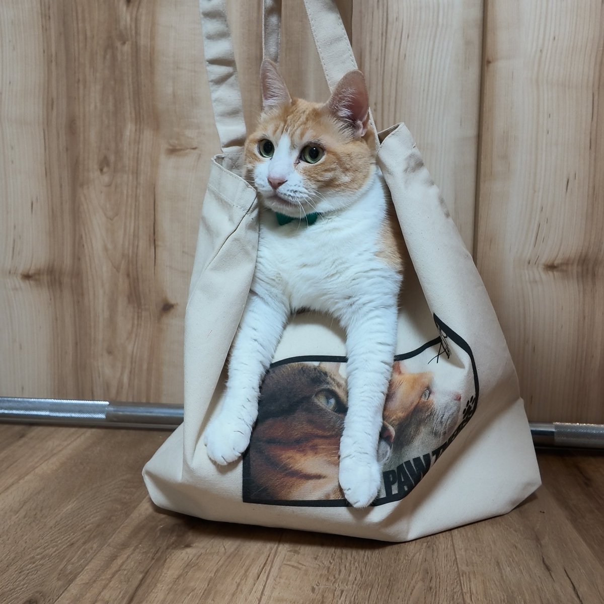atsushi_314's tweet photo. 【重大発表】
なんとなんと！うちの猫たちの新グッズが発売開始しました🐈‼️

ティガー＆ロビンのトートバッグがデカくて最高だ！
滅多にグッズ出さないバカタレチャンネルなので、この機会にぜひ猫たちのグッズ買ってください😭！！
🐈🐈🐈🐈🐈
　↓購入は↓
https://t.co/qebBrEBK6b https://t.co/hcZQ8OqiU7
