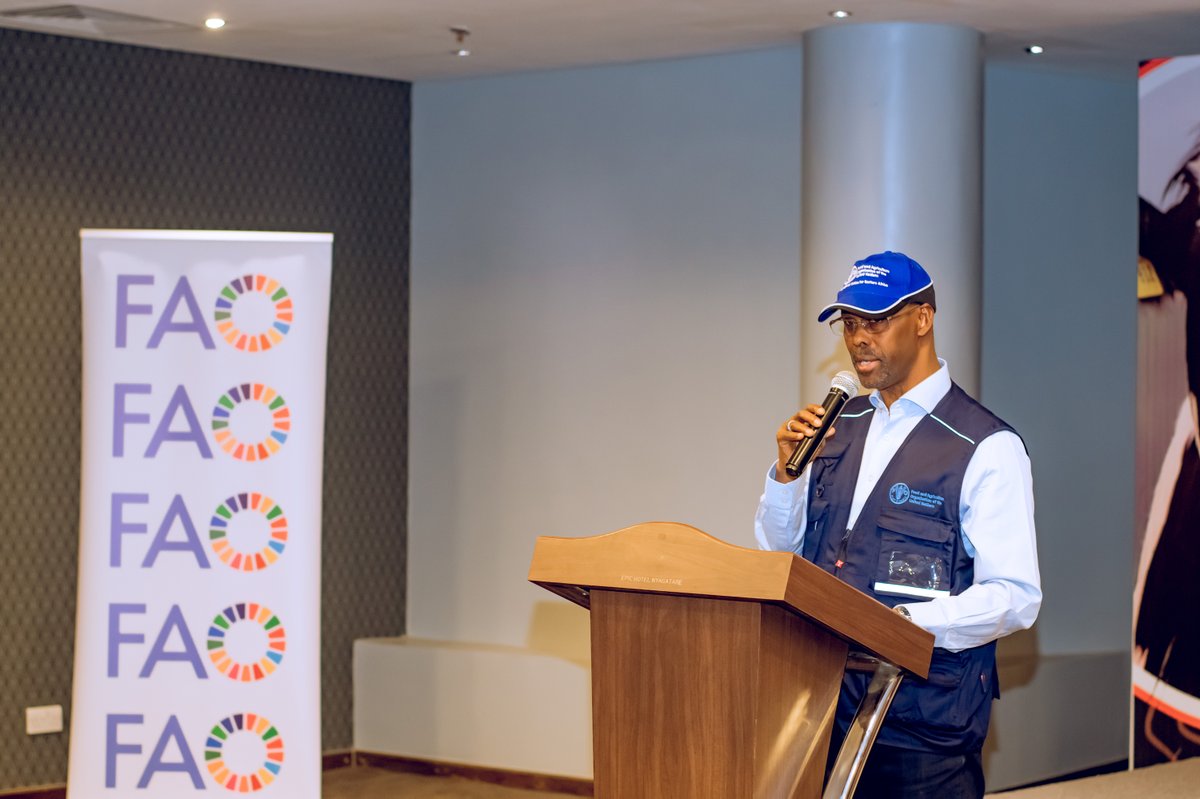 NyagatareDistr's tweet photo. Ku bufatanye bw'Akarere, @RwandaAgri na @FAORwanda , aka kanya kuri Epic Hotel hari kubera inama igamije kumurika ku mugaragaro, igitabo cy'imfashanyigisho kizajya gifasha aborozi kumenya uburyo buboneye bwo korora inka zitanga umukamo mu rwego rwo kongera umukamo mu bwiza no mu bwinshi no kumenya uburyo bwiza bwo kugaburira amatungo, ibyo kurya bikungahaye ku ntungamubiri akeneye. Ni igitabo cyateguwe hagendewe ku mbogamizi abahinzi n'aborozi bahuraga nazo ndetse n'imibereho yabo. 

Iyi nama yitabiriwe n'Umunyamabanga wa Leta muri Minisiteri y'Ubuhinzi n'ubworozi @solangeuwituze , Abayobozi baje bahagarariye @FAORwanda , @HeiferRwanda n'abandi bafatanyabikorwa mu buhinzi n'ubworozi, Abahagaraririye abahinzi n'aborozi mu Turere twa Gatsibo na Nyagatare n'abandi.
