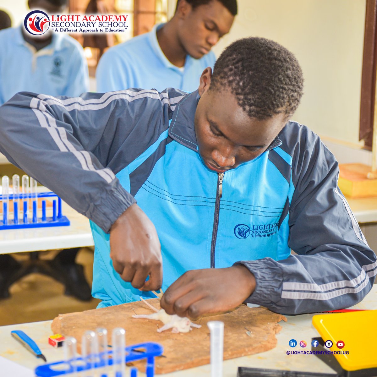 LIGHTACADEMYUG's tweet photo. Practical sessions ongoing.
#PracticalEducation
#lightacademy s.s
#adifferentapproach to #education https://t.co/zsng79Fi8K
