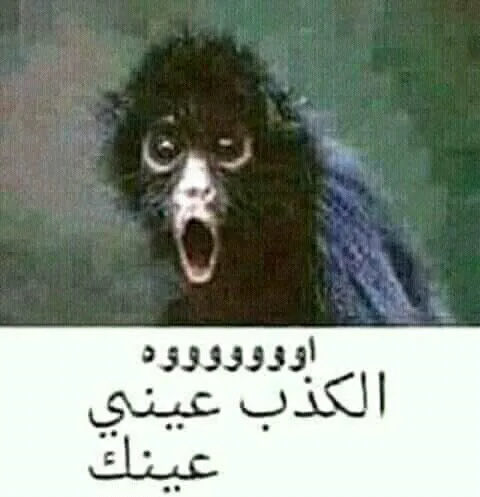5iokz's tweet photo. @MaiFahmy23 https://t.co/89txQqHhy1