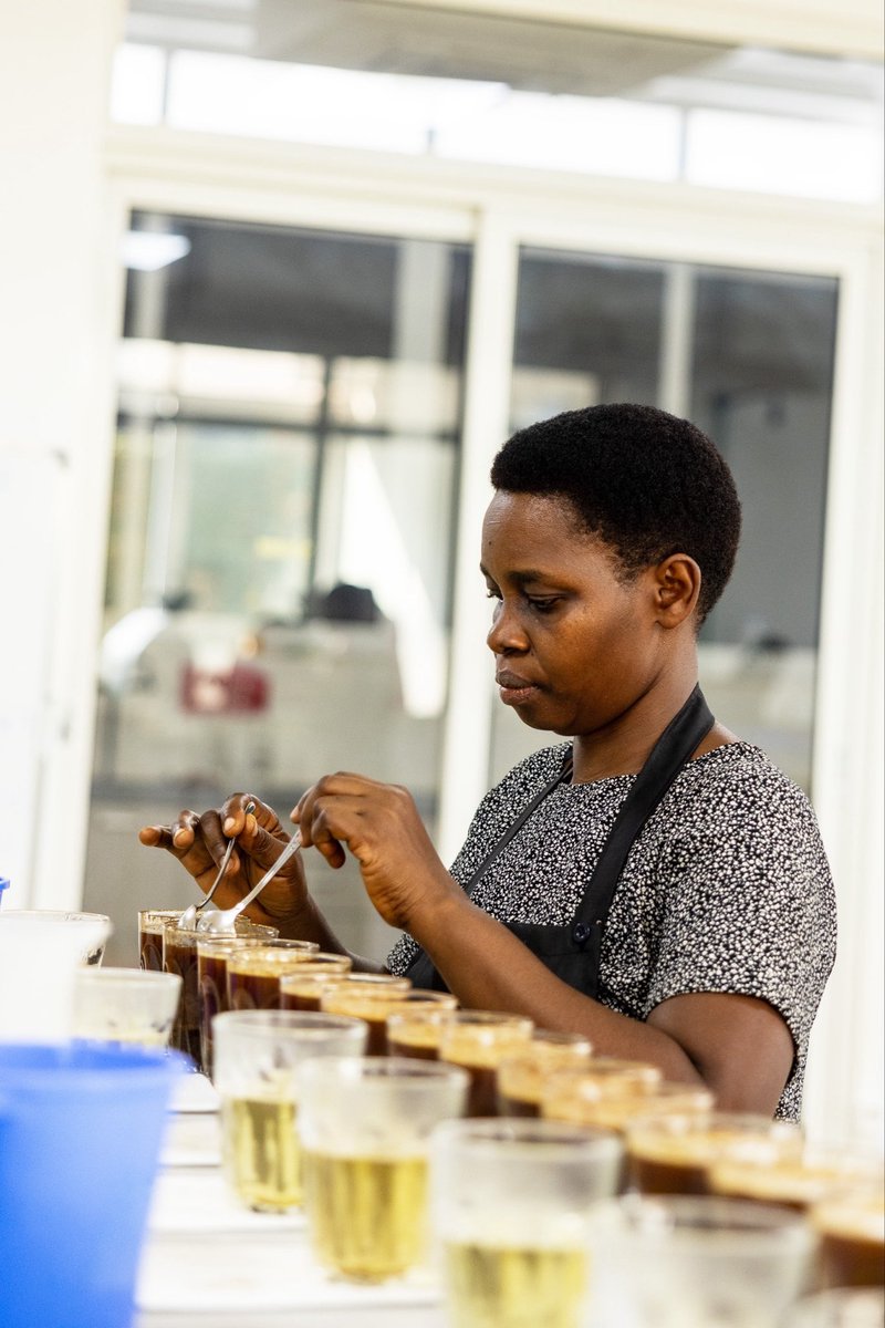 BestOfRwanda26's tweet photo. Precision. Consistency. Excellence.

The National Jury, led by Head Judge continues the Best of Rwanda 2026 Pre-selection, evaluating every coffee sample with care.

#BestOfRwanda2026 #RwandanCoffee #NAEB https://t.co/zVD2UOtL4y