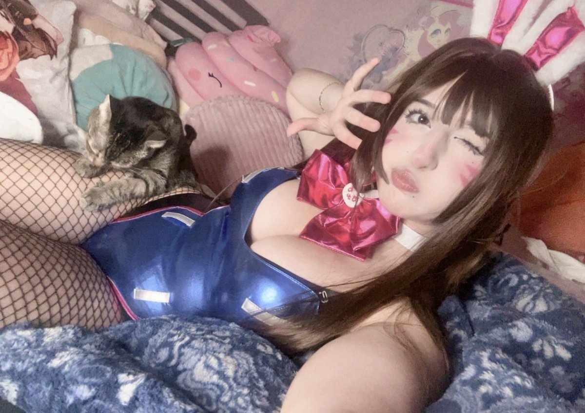 purrfectmeowie's tweet photo. Is this easy mode? ;3 https://t.co/FLC3etyJSg