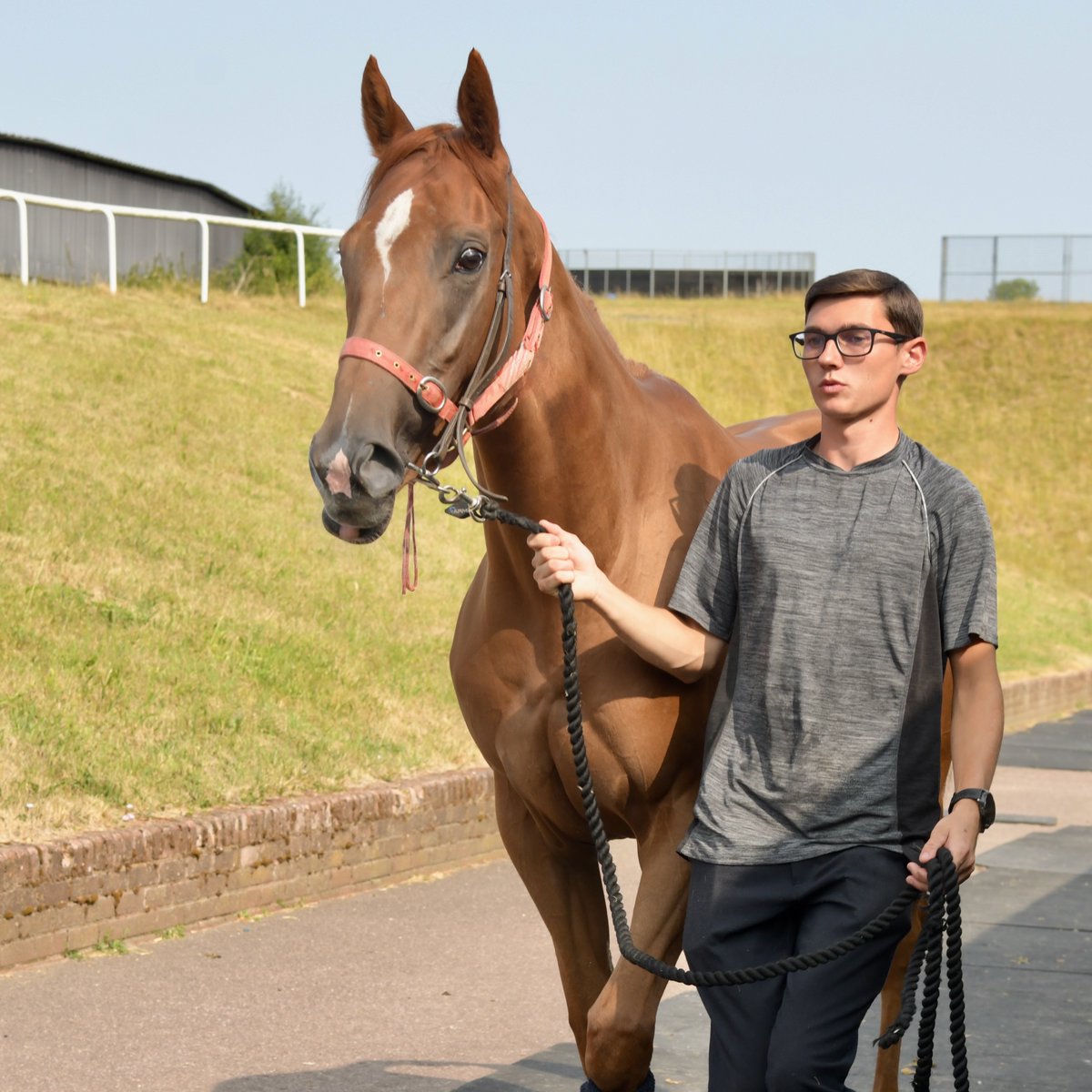 whatcomberacing's tweet photo. Honky Tonk Girl (Dream Ahead ex Cheap Thrills) runs in the Compare Betting Sites At https://t.co/WcaHyJJNNA Restricted Novice Stakes (due off at 7.18 p.m.) at Bath this evening. She’s fit and well and races over 5 1/2 furlongs under apprentice jockey Mason Paetel. https://t.co/AdRzg7xzJK