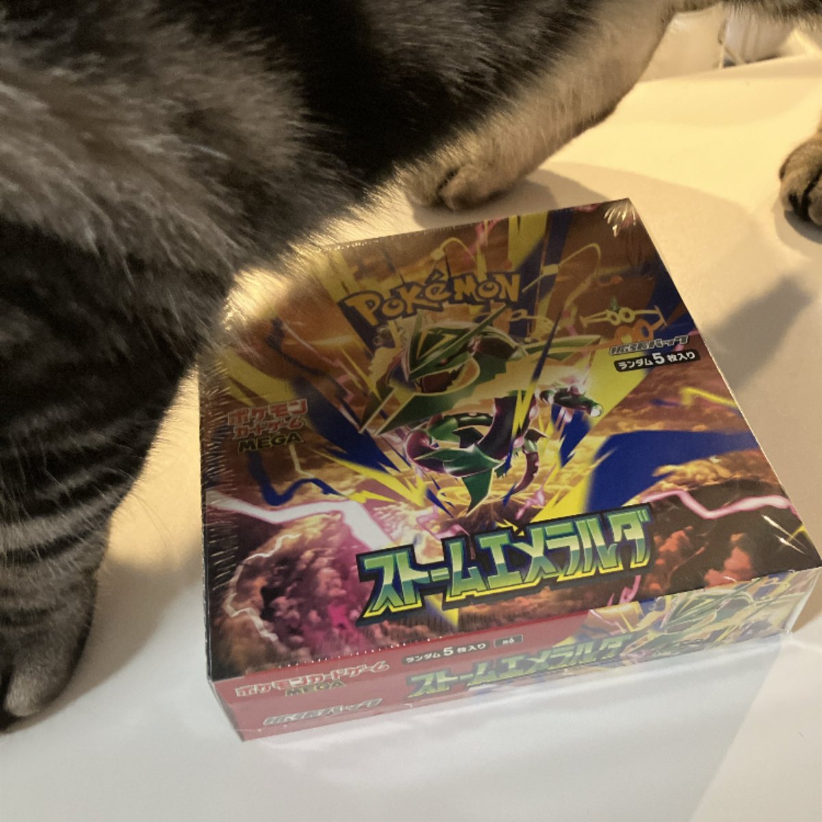 evapachink's tweet photo. なんか届いた。欲しい人いますか？

#ストームエメラルダ https://t.co/PItGLin5vi