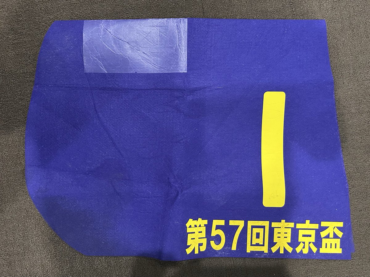 Gkr3rDQSqNeKgZh's tweet photo. なんと今度はリュウノ総帥✨
蓑島オーナーから
『俺もやっから😎』と、
✴︎リュウノユキナ✴︎  東京盃‼️
のゼッケンを頂きました。
激闘の跡で砂や汚れはありますが
リアル感がありますので
そのままでお贈りいたしますww
沢山のオーナー様
本当にありがとうございます🙇🏼‍♂️

応募条件
フォロー&リポストと出来れば
コメントいただけますと
オーナー様も喜びます。
締切8月10日の23時まで
抽選後当選者にはメッセージ
にてご連絡させていただきます

あのレースはリアルで見ていた
ので懐かしいなぁ〜。
＃リュウノユキナ
＃重賞ゼッケン
＃種牡馬���なりました
＃ゼッケンプレゼント🎁
＃ヴァーミリアン
＃エルコンドルパサーの血脈
＃オーナー様達でゼッケンの輪が広がる
＃アヤサンファミリーに競馬を教えてくれた方