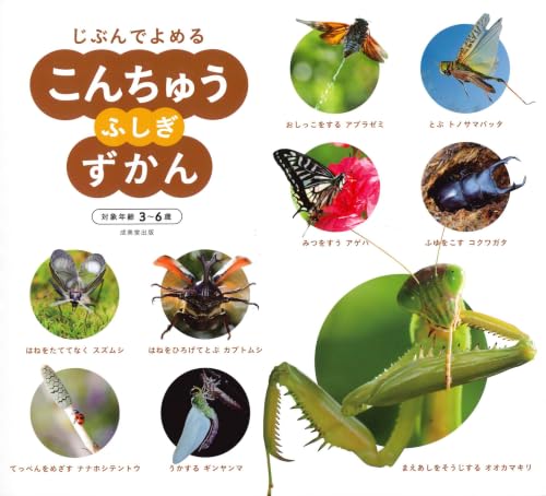 kidsbooks_hz's tweet photo. こんちゅう　ふしぎずかん   7/31 発売

成美堂出版編集部

『じぶんでよめる こんちゅうふしぎずかん』は、文字に興味を持ちはじめた子どもに、「こんちゅう」をとおして、自分で本を読む楽しさを伝え、知的好奇心を引きだす図鑑です。シリーズの『じぶんでよめる こんちゅうずかん』より掘り下げた内 https://t.co/4G0YomeqNH