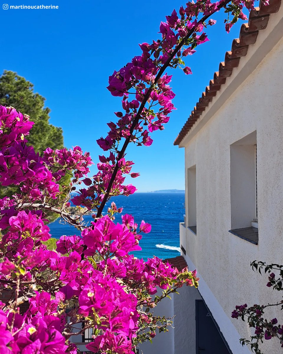 VisitRoses's tweet photo. Bon divendres! 🩷🩵
¡Feliz viernes! 🩷🩵
Joyeux vendredi! 🩷🩵
Happy Friday! 🩷🩵
Fröhlichen Freitag! 🩷🩵
Fijne vrijdag! 🩷🩵
Buon venerdì! 🩷🩵
📸 (Ig) @martinoucatherine - Moltes gràcies! ❣️
#VisitRoses #BadiadeRoses #Emporda #InCostaBrava #CatalunyaExperience #aRoses https://t.co/9qEMhhy7Jz