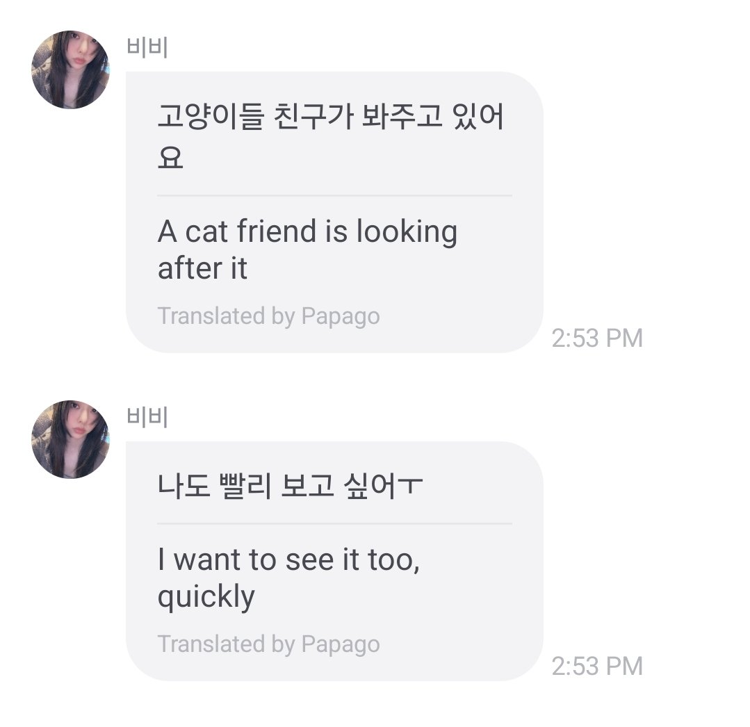 vivi folder tweet media
