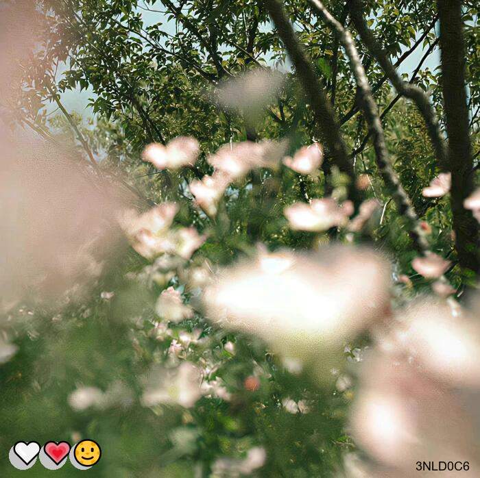LeonardIng47763's tweet photo. 😍游戏陪玩😍偷情🙌娇喘👏女菩萨👏自慰😆女喘😆足交🎊御姐💕约炮🍀母狗🤗射屏✨内射🌸视频1V1🥰红绿灯🤗狗奴自录🌈视频1v1😋小狗😎jk😋女奴💕每日大赛

企鹅裙：1818089
X：@zhien52000
飞机：zuoyi1v1
裸聊/连麦/文爱/调教/寸止 https://t.co/M002dZ0UdS