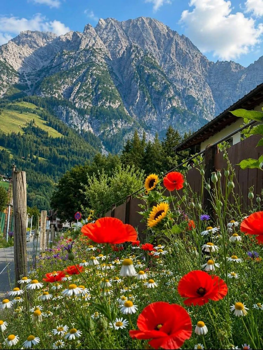 GGabipac's tweet photo. Uneori, frumusețea nu are nevoie de explicații… doar de un loc în care să te oprești și să o privești. 🌺🏔️ https://t.co/H5FXczTF0A