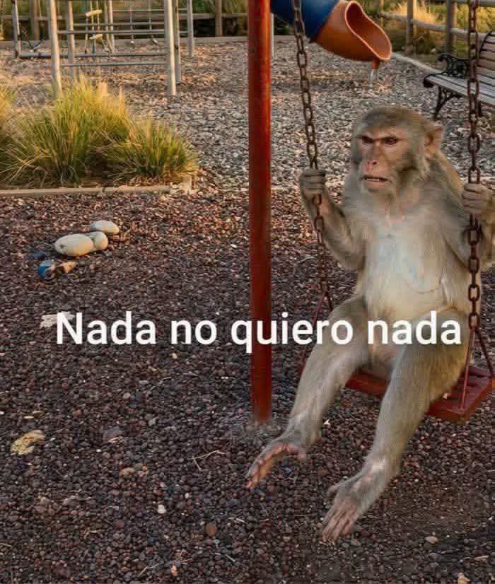 ekkanss's tweet photo. Cuando si quiero algo, pero me gana el coraje https://t.co/iF8lIIUJ5n