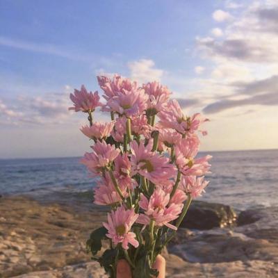 DrMonia's tweet photo. New fitness tracker is calling me out on my steps. Rude but fair. 🎉 https://t.co/nddL5tHrGb