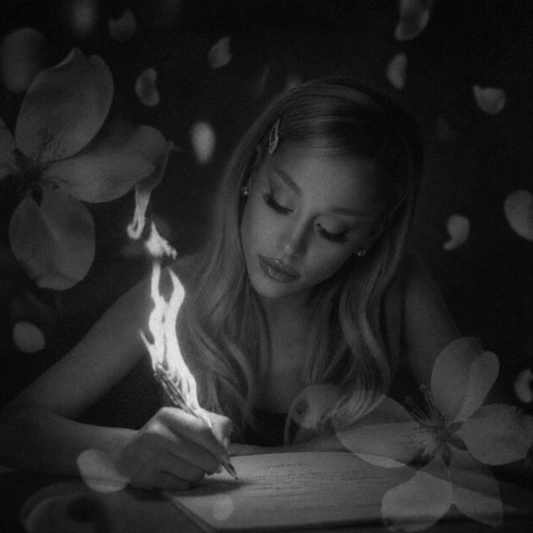 vittorfernando's tweet photo. PETAL. https://t.co/Zy3H3tHliP