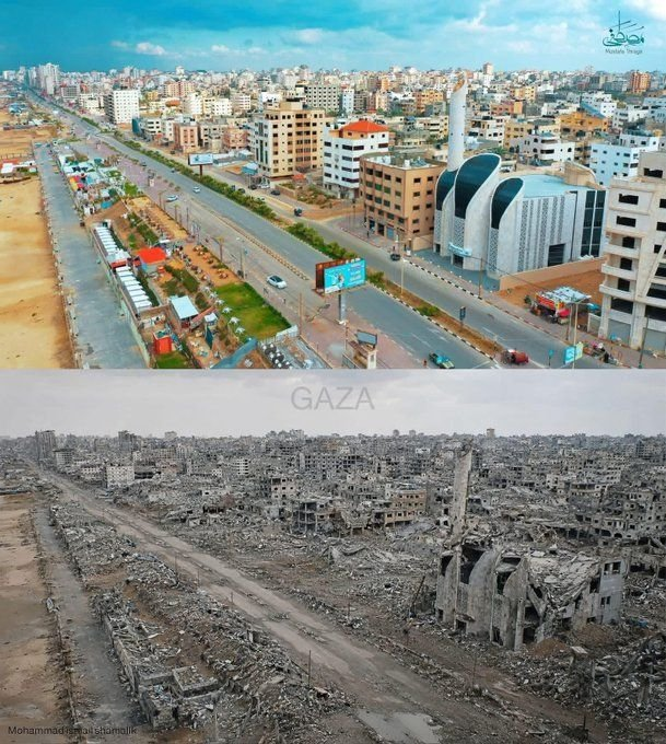 Khaled Safi خالد صافي tweet media