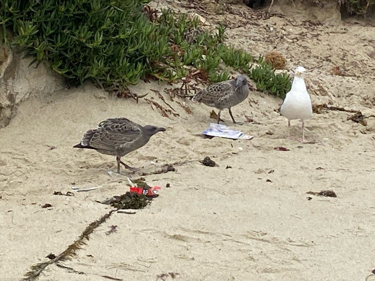 witzshared's tweet photo. Mom! Whatโs for dinner? #shorelife https://t.co/9eQF7HQKwL