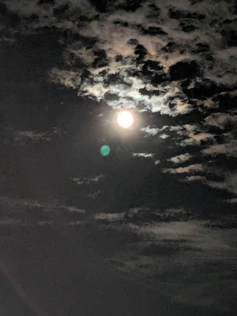 Hem_anthTummala's tweet photo. Something appeared on the screen while I was taking photos with my Google Pixel 7a.

What's that? https://t.co/W9gHnA0ZTW