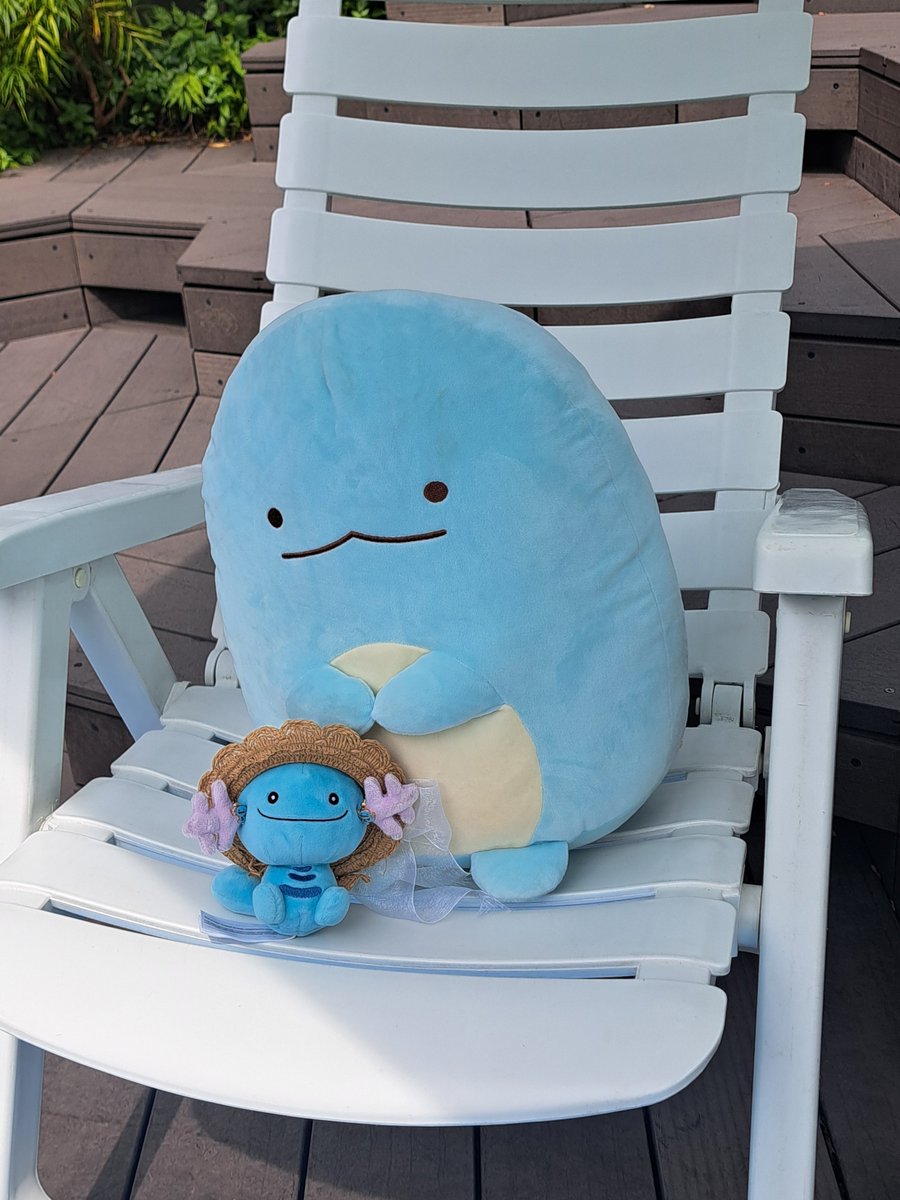 ari_a53's tweet photo. 可愛い空間でした
#こはるのあしあと
#ポケモンfit https://t.co/Smxh5eSJOB